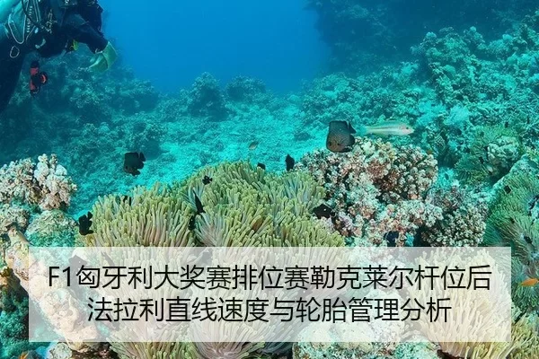F1匈牙利大奖赛排位赛勒克莱尔杆位后法拉利直线速度与轮胎管理分析